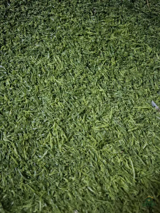 فرشه