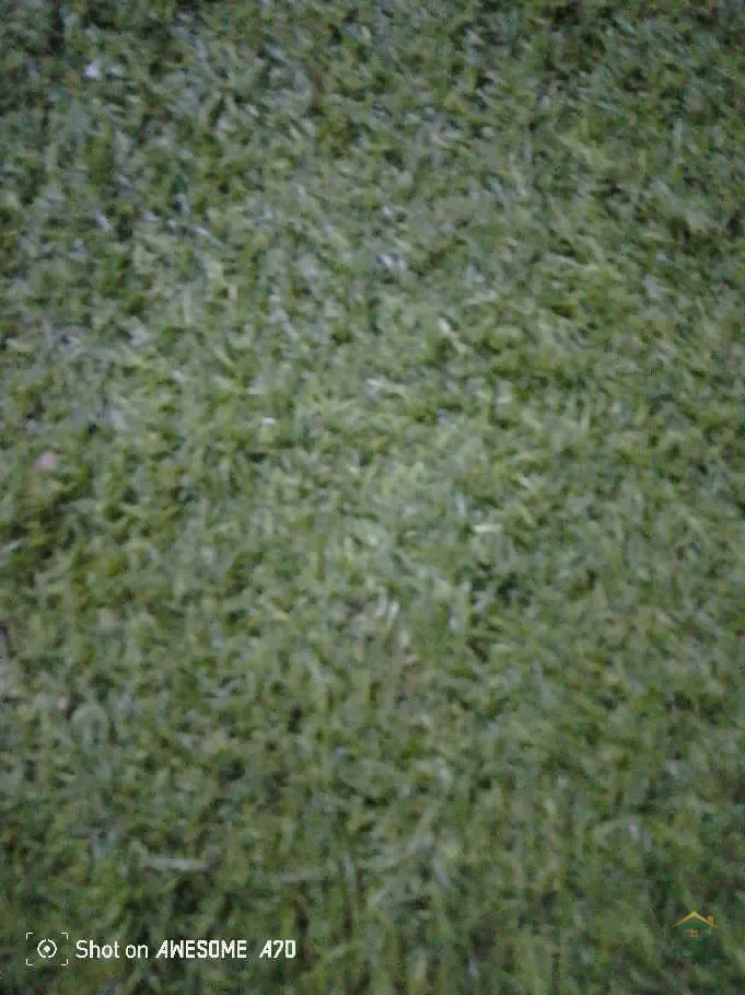 فرشه