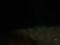 بي