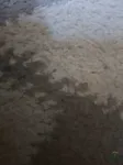 فرش