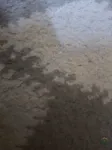 فرش