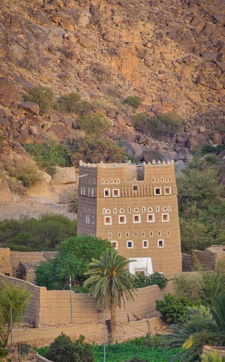 التمر اللي في النخله اللي عند البيت للبيع